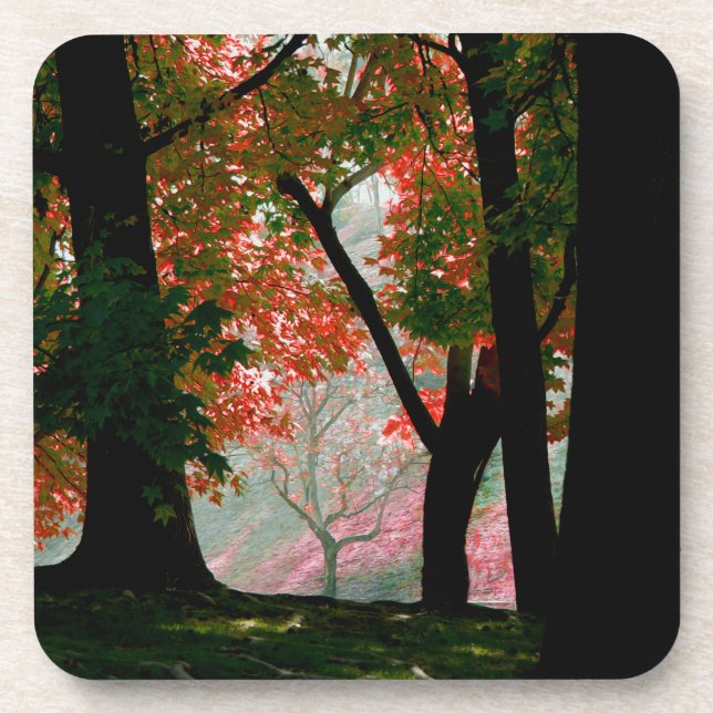 Ahorn Untersetzer (Vorderseite)