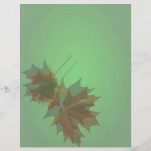 Ahorn-Verlass-Flyer Flyer