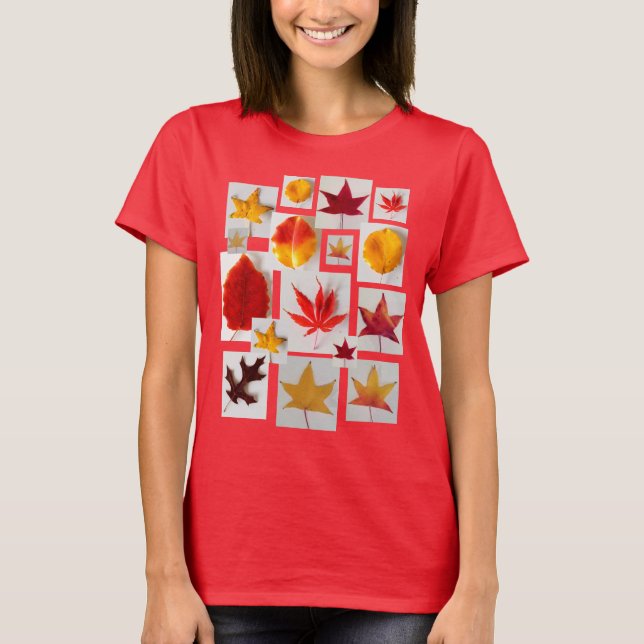 Ahorn verlässt Fall-Laub-Herbst-Farben T-Shirt (Vorderseite)