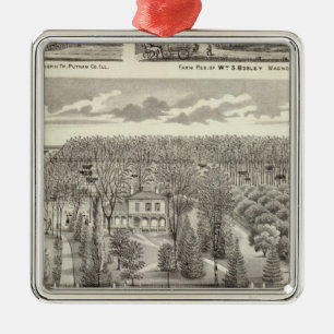 Ahorn-Waldungswohnsitz Silbernes Ornament