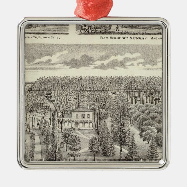 Ahorn-Waldungswohnsitz Silbernes Ornament (Vorne)