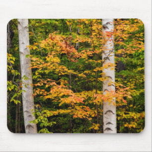 Ahorn & Weißbirke White Mountains, NH Mousepad