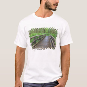 Ahornbahn mit Holzbrücke, Farne und T-Shirt