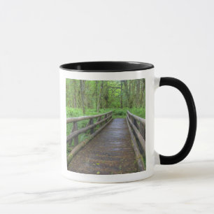 Ahornbahn mit Holzbrücke, Farne und Tasse