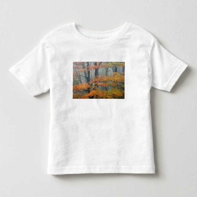 Ahornbaum, Acer rubrum, Portrait in Nebel Kleinkind T-shirt (Vorderseite)