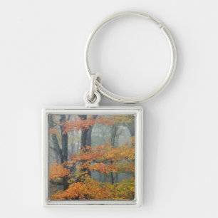 Ahornbaum, Acer rubrum, Portrait in Nebel Schlüsselanhänger