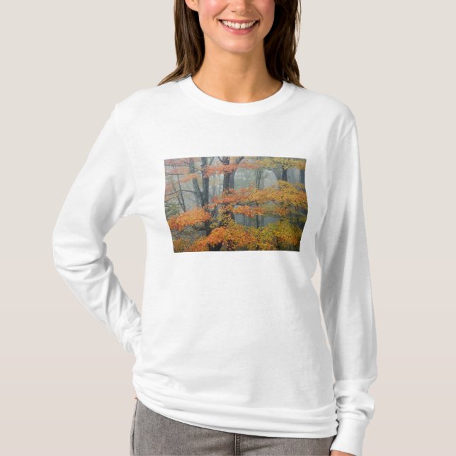 Ahornbaum, Acer rubrum, Portrait in Nebel T-Shirt (Vorderseite)