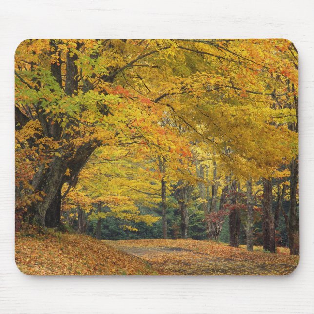 Ahornbaum im Herbst über der Landstraße, Mousepad (Vorne)