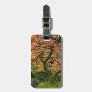 Ahornbaum im Japanischen Garten im Herbst Gepäckanhänger