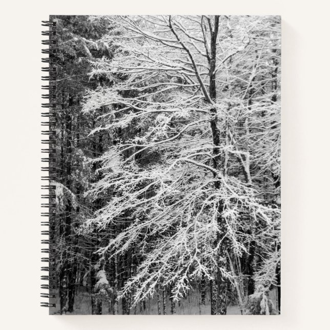 Ahornbaum im Snow Journal Notizbuch (Vorderseite)