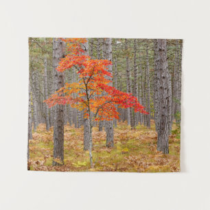 Ahornbaum mit Herbstfarben Wandteppich