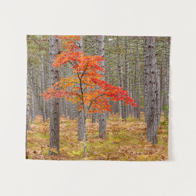 Ahornbaum mit Herbstfarben Wandteppich (Vorderseite (Horizontal))