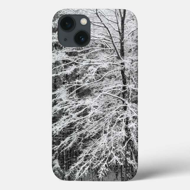 Ahornbaum mit Schnee Case-Mate iPhone Hülle (Rückseite)