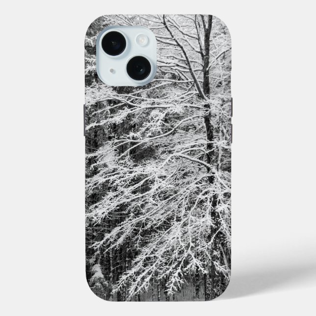 Ahornbaum mit Schnee iPhone 15 Hülle (Rückseite)