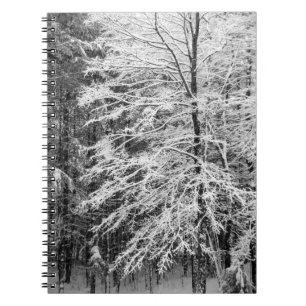 Ahornbaum mit Schnee Notizblock