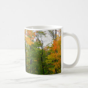 Ahornbäume im Herbst - Naturfotografie Kaffeetasse