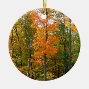 Ahornbäume im Herbst Naturfotografie Keramikornament
