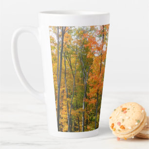 Ahornbäume im Herbst - Naturfotografie Milchtasse