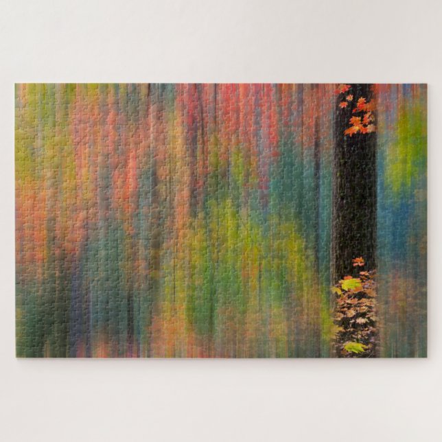 Ahornbäume | Silver Falls Staat Park (Horizontal)