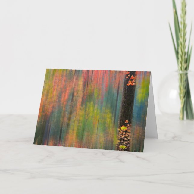 Ahornbäume | Silver Falls Staat Park Karte (Vorderseite)