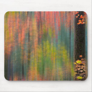 Ahornbäume   Silver Falls State Park Mousepad