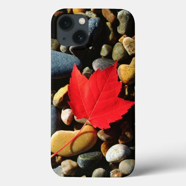 Ahornblatt auf einem Felsvorsprung Case-Mate iPhone Hülle (Rückseite)