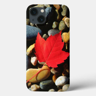 Ahornblatt auf einem Felsvorsprung iPhone 13 Hülle