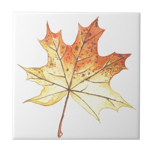 Ahornblatt im Herbst Fliese (Vorderseite)