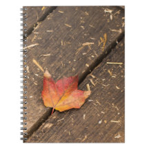 Ahornblatt minimalistisches Fallfoto