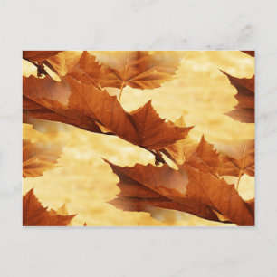 Ahornblatt Postkarte