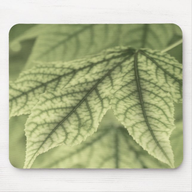 Ahornblätter Mousepad (Vorne)