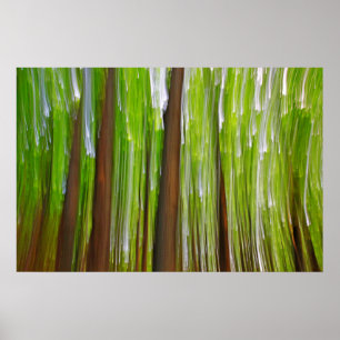 Ahorngarten Abstrakt Poster