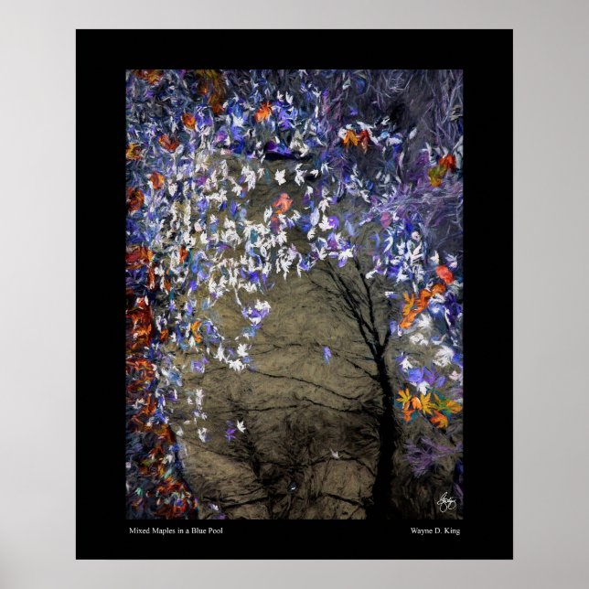 Ahorngemische in einem Herbstpool Poster (Vorne)