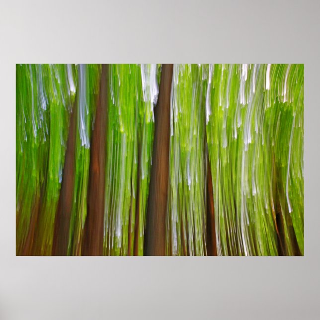 Ahorngrove Abstrakt Poster (Vorne)