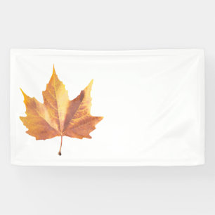 Ahornherbstblatt Banner