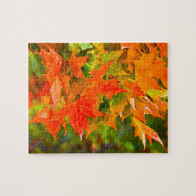 Ahornleaf (Horizontal)