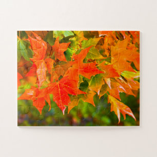 Ahornleaf