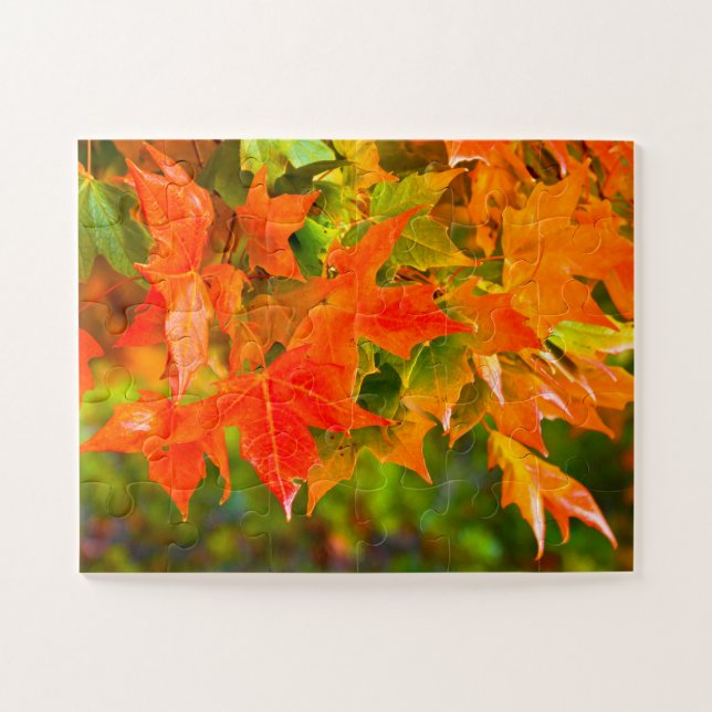 Ahornleaf (Horizontal)