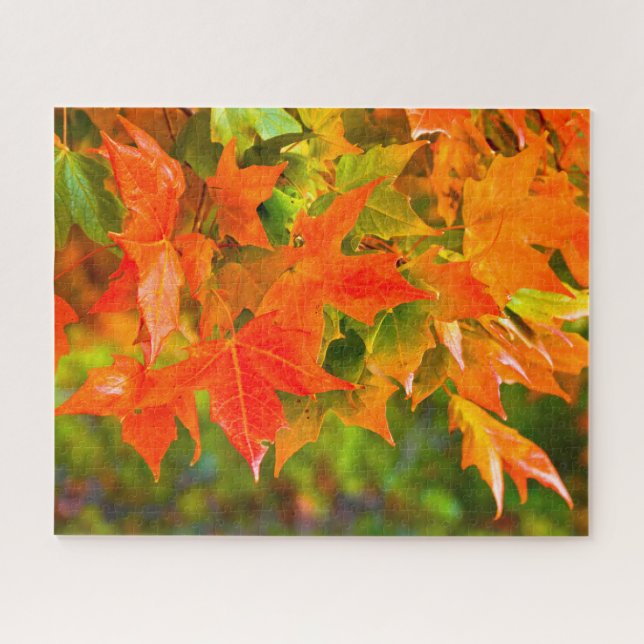 Ahornleaf (Horizontal)