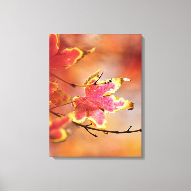 Ahornleaf Canvas Print Leinwanddruck (Vorderseite)