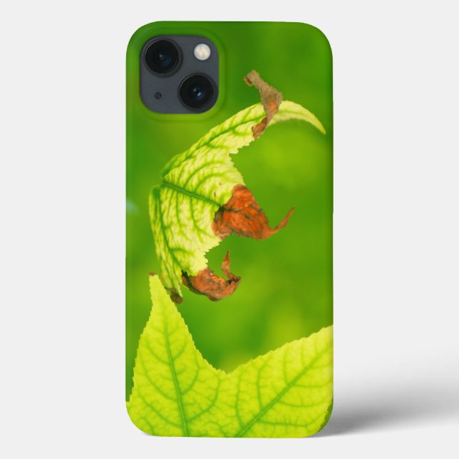 Ahornleaf Case-Mate iPhone Hülle (Rückseite)