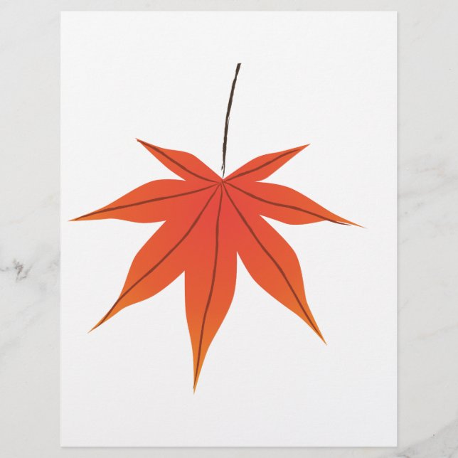 Ahornleaf Flyer (Vorne)