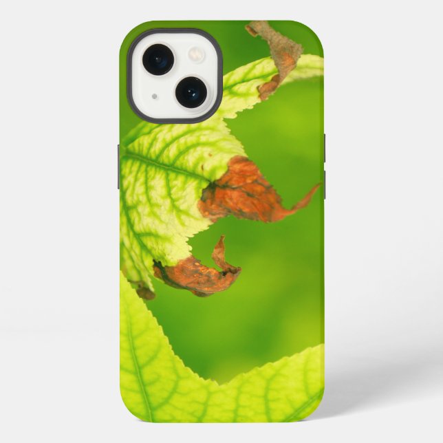 Ahornleaf iPhone Hülle (Rückseite)