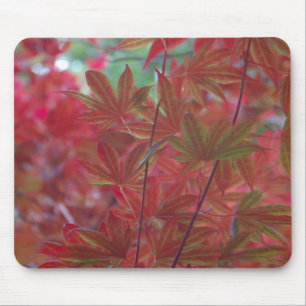 Ahornleaf Mousepad