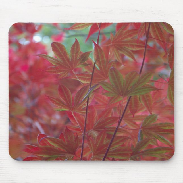 Ahornleaf Mousepad (Vorne)