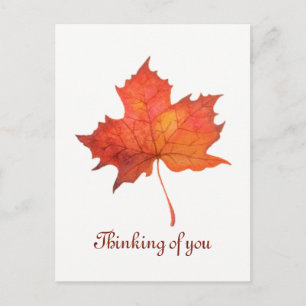 Ahornleaf Postkarte