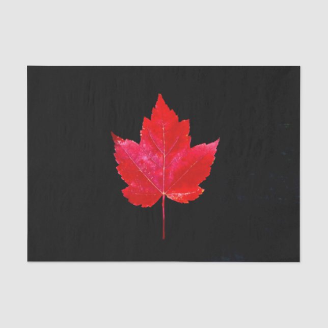 Ahornleaf Rotes Schwarzes Herbstland Seidenpapier (Vorderseite)