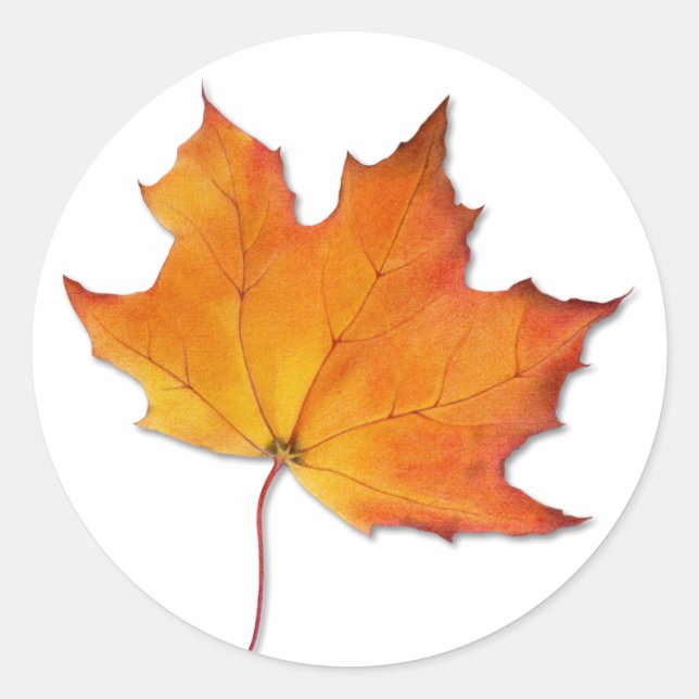 Ahornleaf-Sticker Runder Aufkleber (Vorderseite)