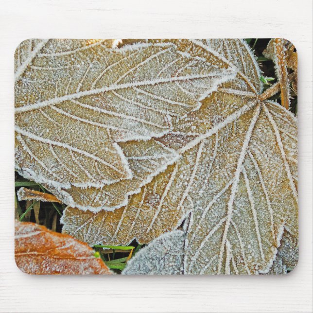Ahornmäuse, gefroren mousepad (Vorne)