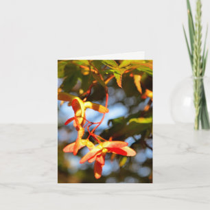 Ahornpflanze Leere Notecard Karte